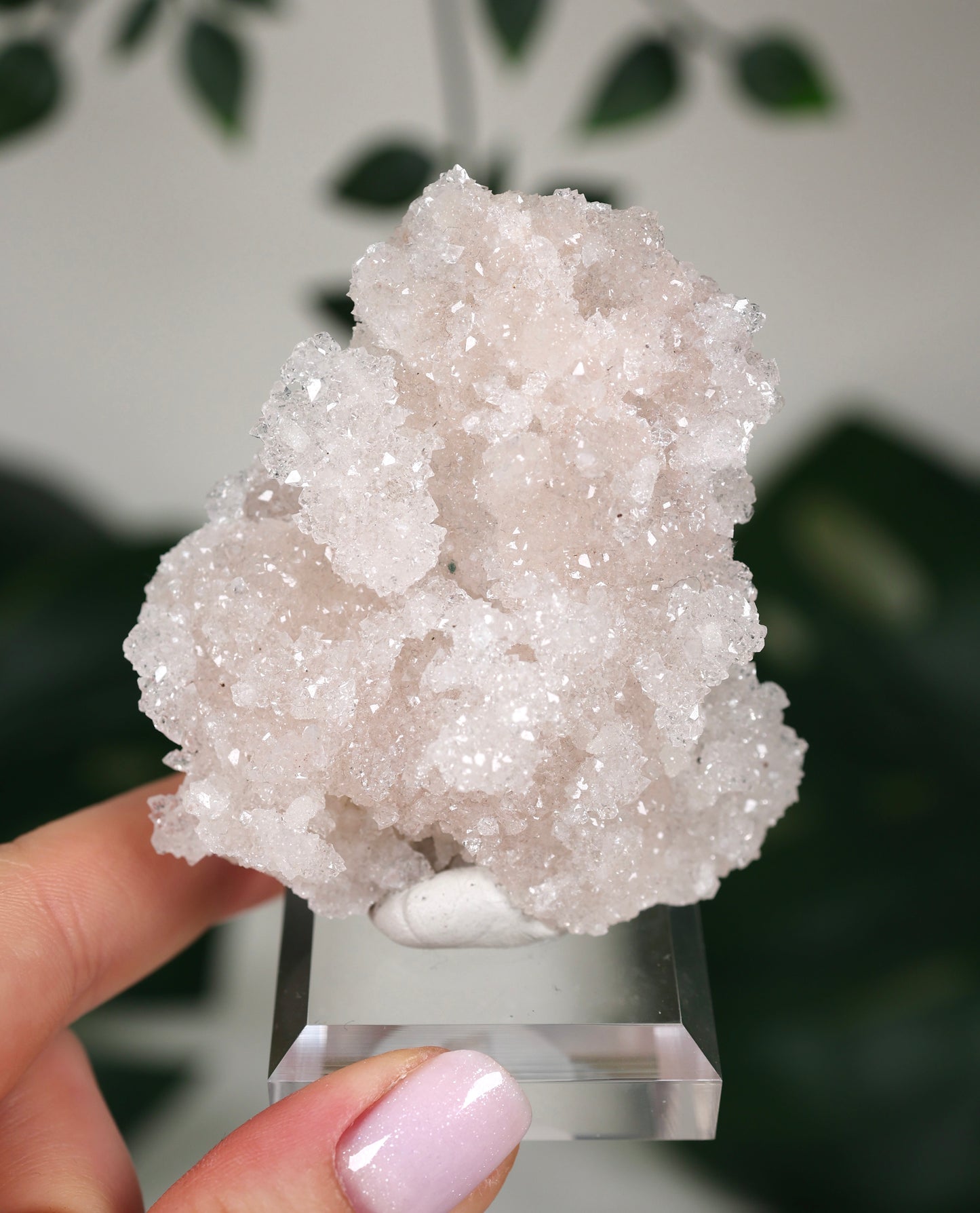 Apophyllit Peach ‚Crust‘ Nr.52AC