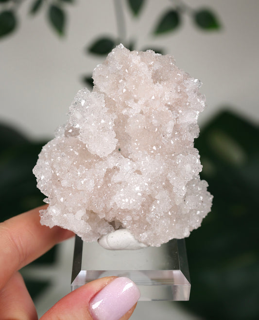 Apophyllit Peach ‚Crust‘ Nr.52AC